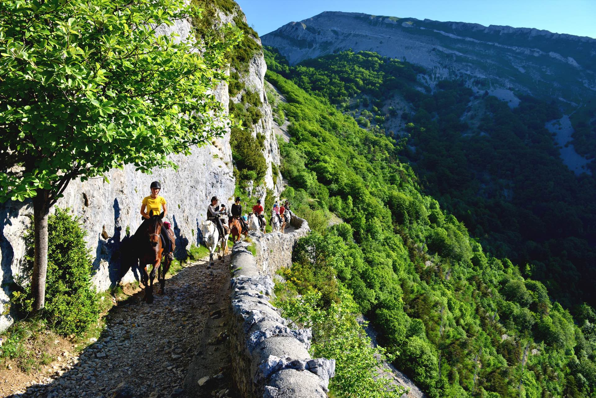 Groupe de cavaliers en randonnée sur un sentier de montagne
