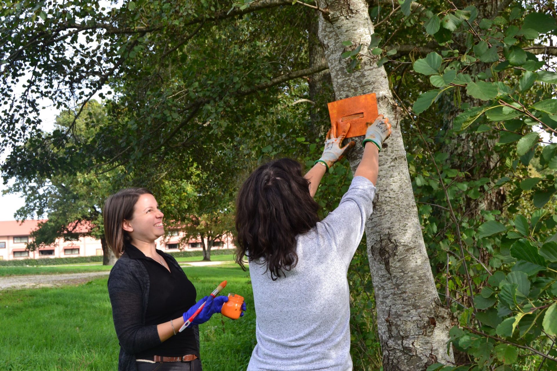 Pose d'un balisage équestre orange sur un arbre lors d'une formation