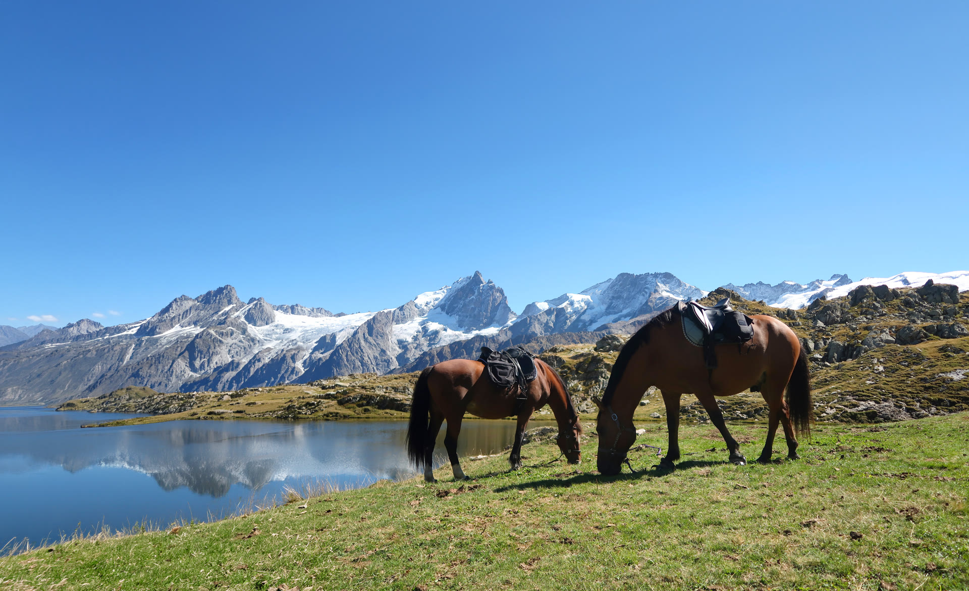 Randonnée équestre en Auvergne-Rhône-Alpes