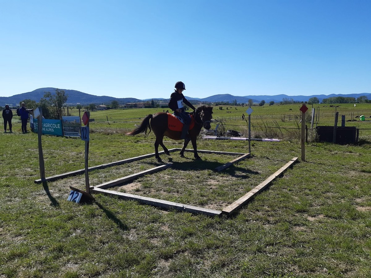 Épreuve de maniabilité lors d'un Galop de Pleine Nature